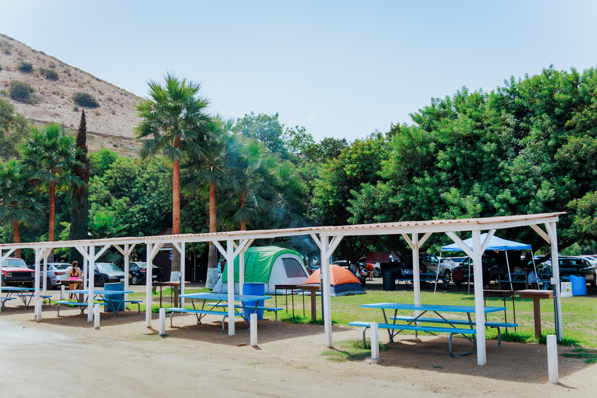 Área verde con familias acampando