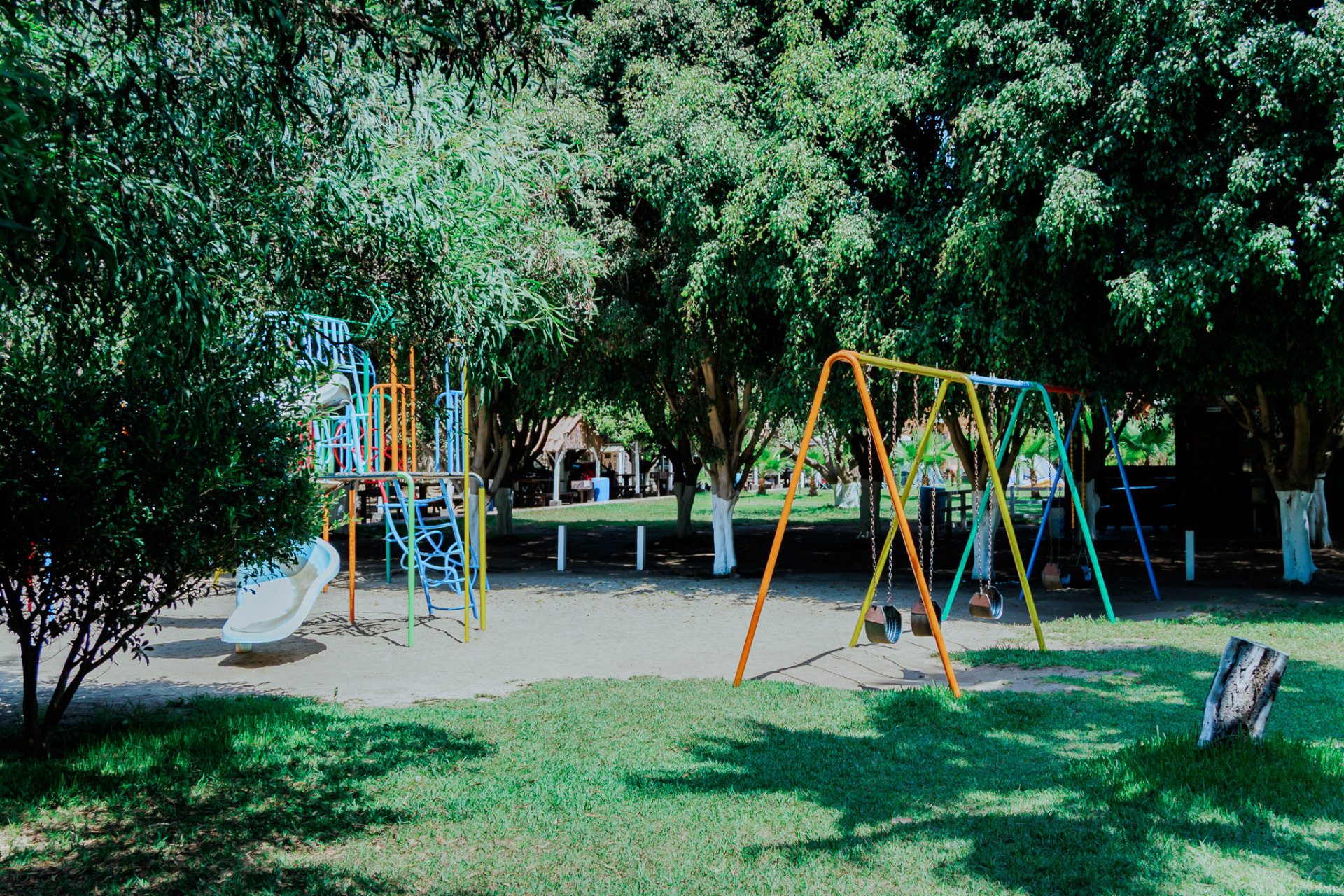 Juegos infantiles bajo los árboles